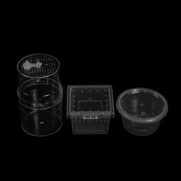 Spiderling Container (Square)