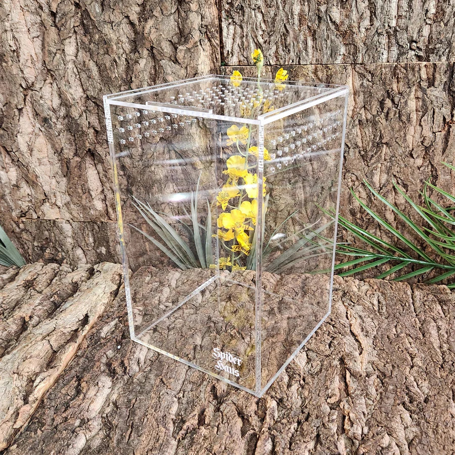 Spider Haus 4x4x7” Arboreal/ Fossorial