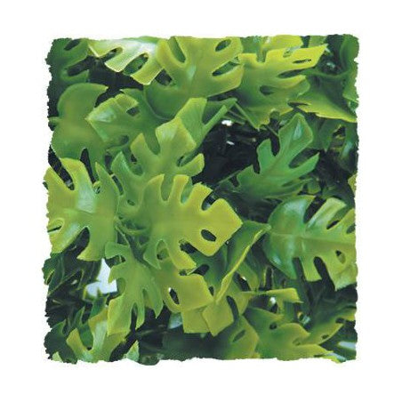 Zoo Med Natural Bush- Amazonian Phyllo