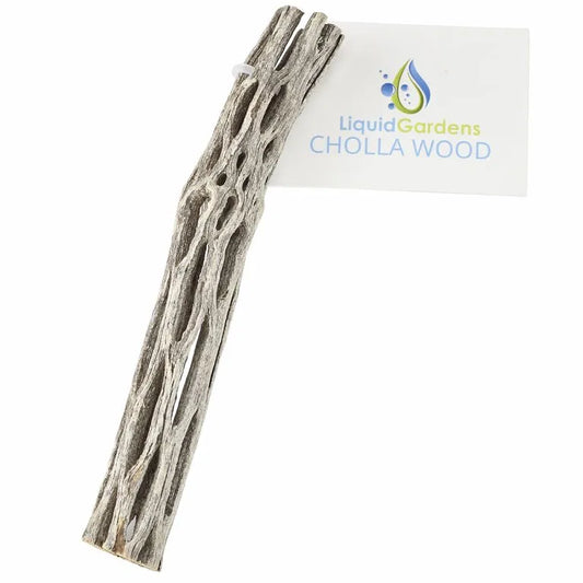 Liquid Gardens Cholla Wood