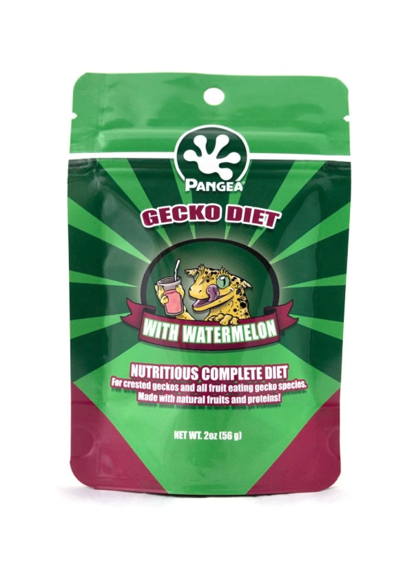 Pangea Gecko Diet With Watermelon