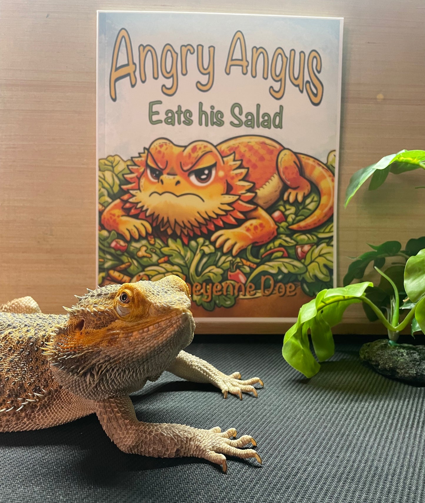 Angry Angus Eats His Salad by Cheyenne Doe