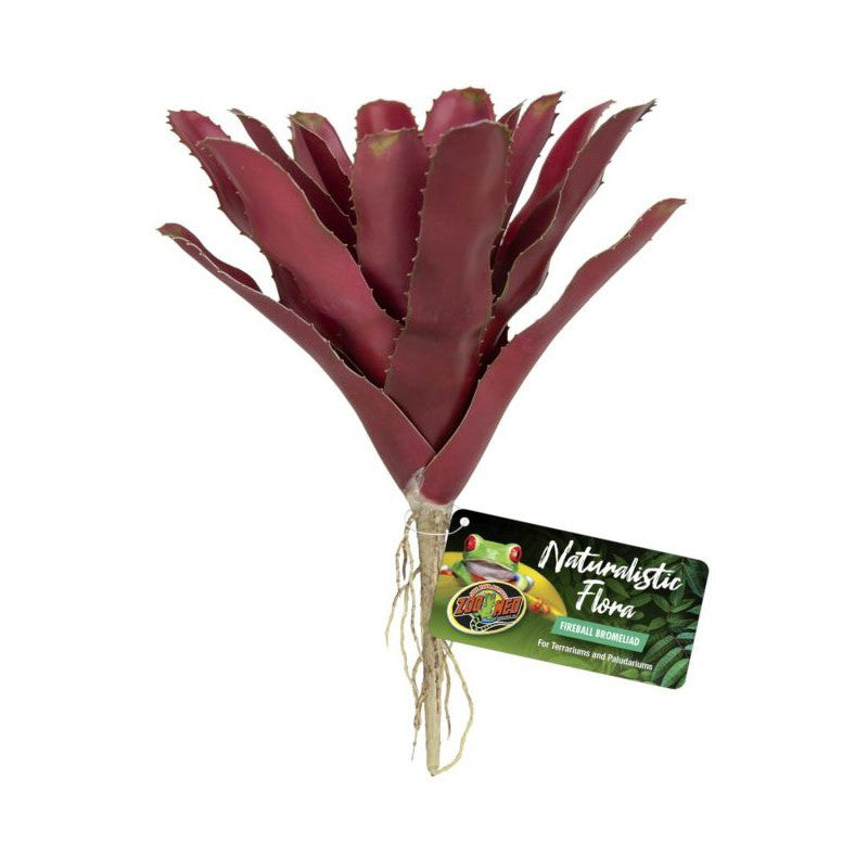 Zoo Med Fireball Bromeliad