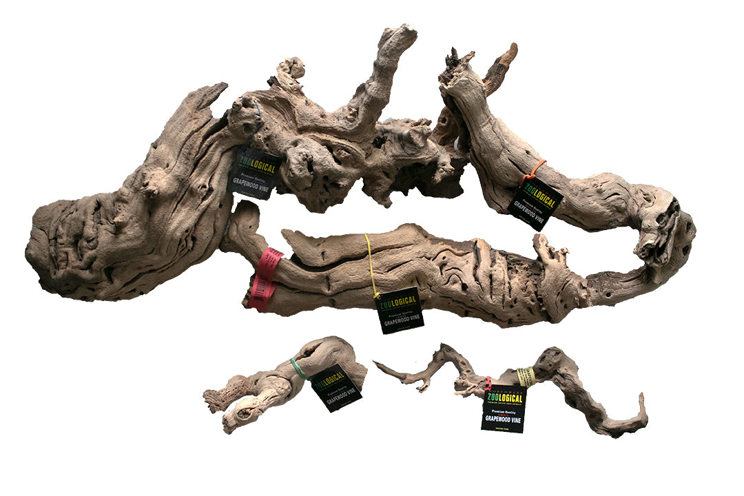 Grapewood Vine