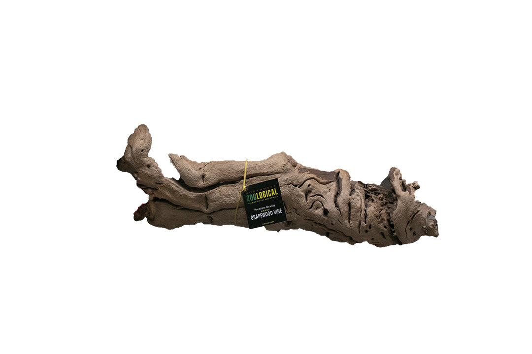 Grapewood Vine
