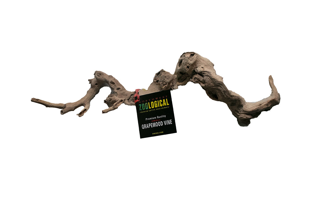 Grapewood Vine