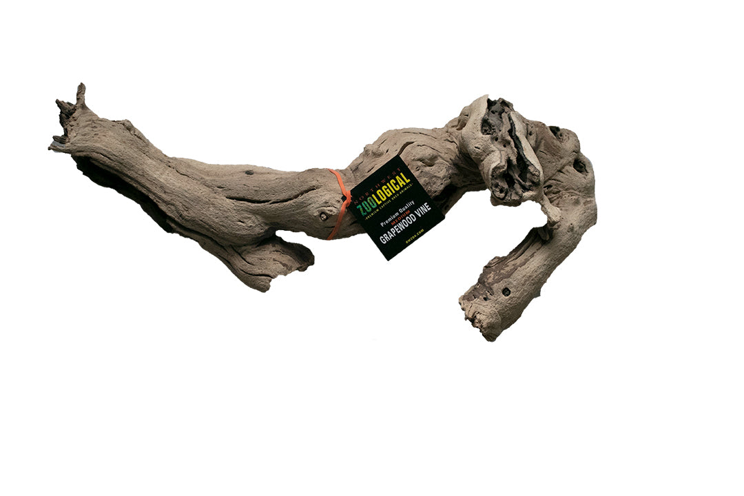 Grapewood Vine