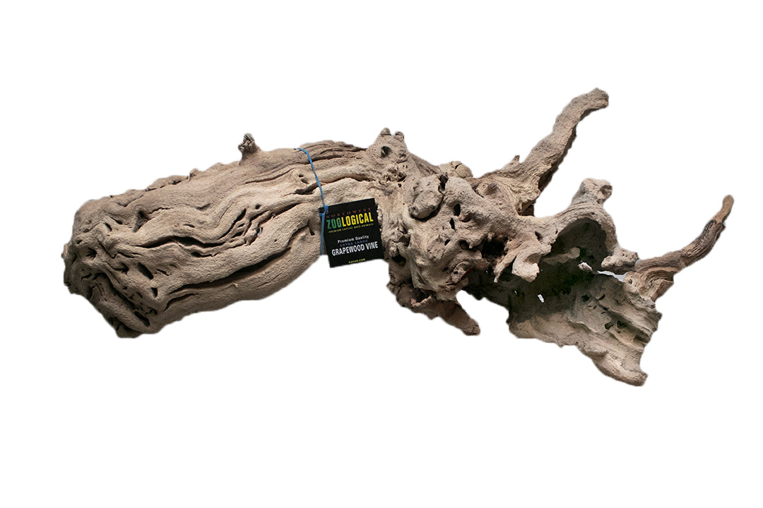 Grapewood Vine