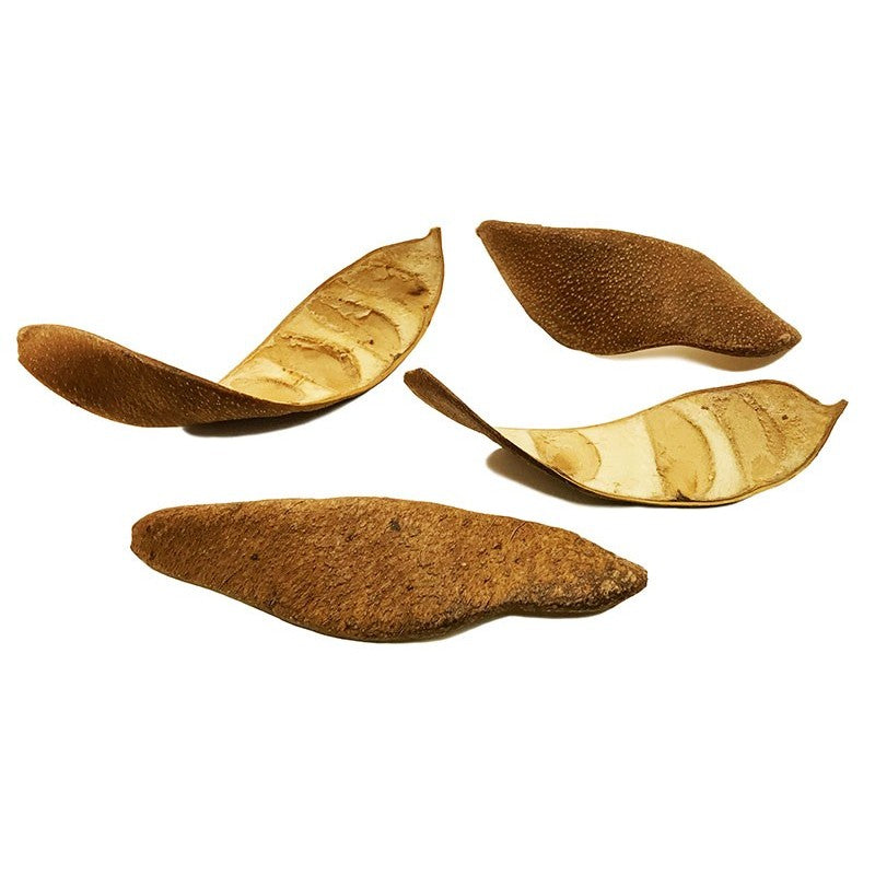 Curved Seed Pods