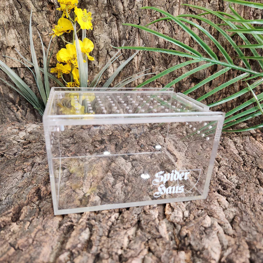 Spider Haus 3x4x5”