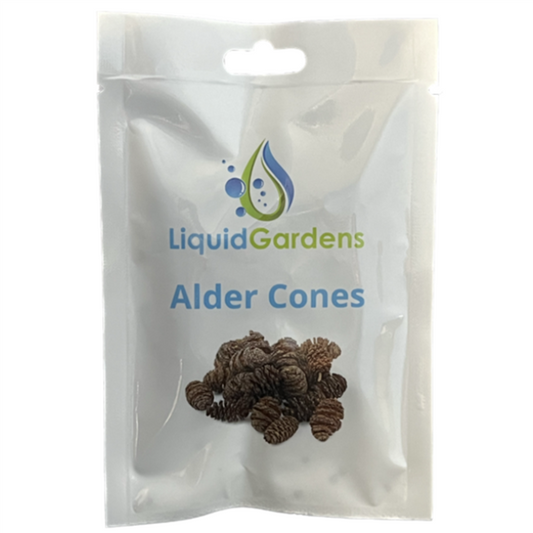 Liquid Gardens Alder Cones 25 ct