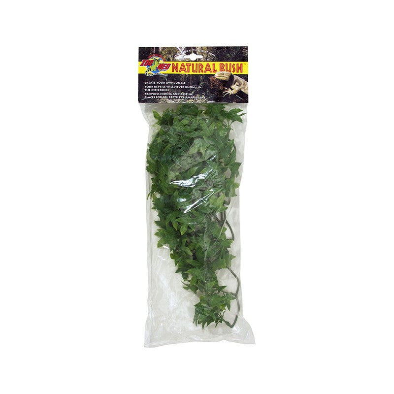 Zoo Med Natural Bush- Congo Ivy