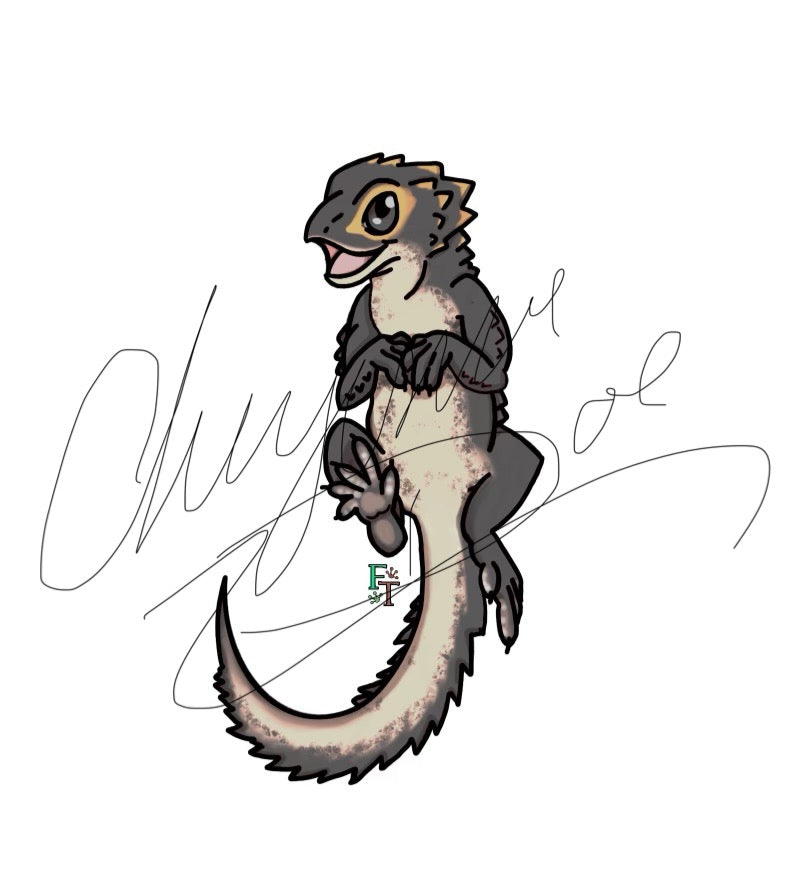 Red Eye Crocodile Skink Charm