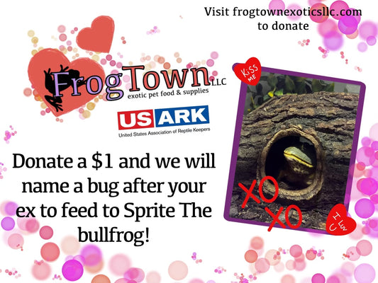 Valentine’s Day Bug Drive!