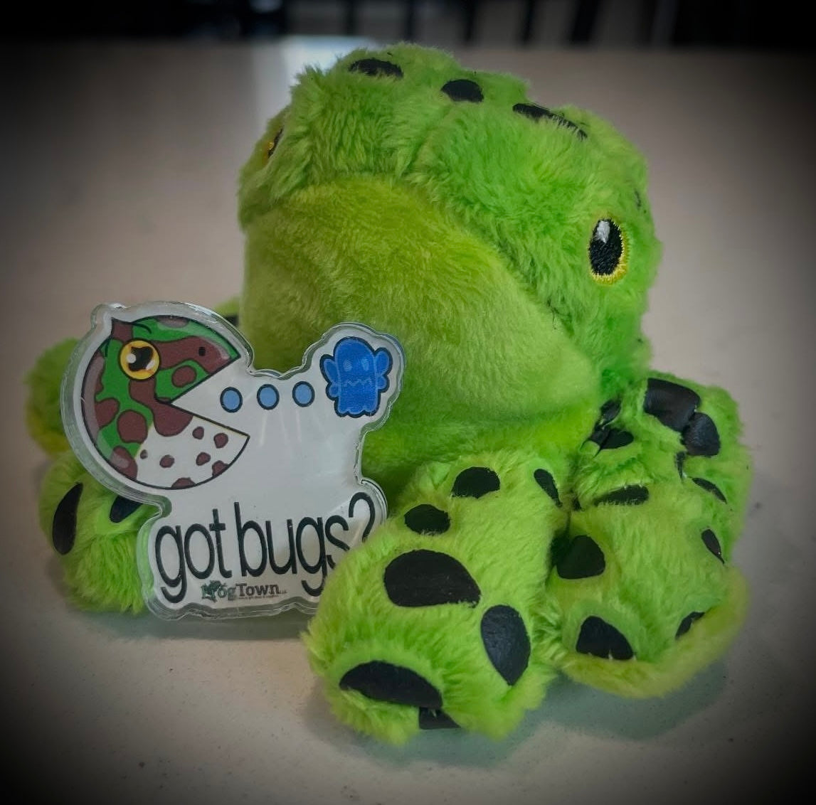 FrogTown Plush and Pin *Limited time only*