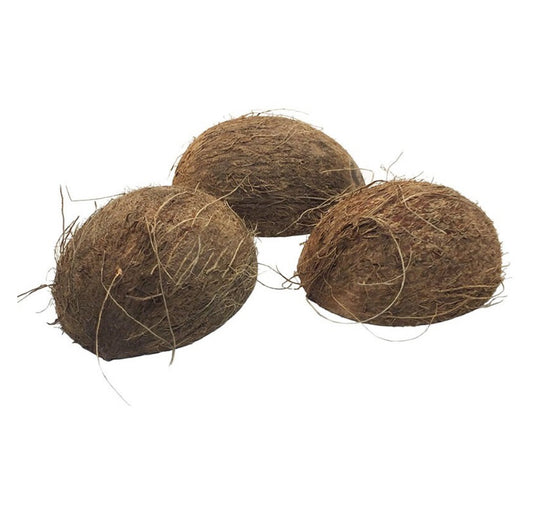Coconut Shell Half w/ Fiber