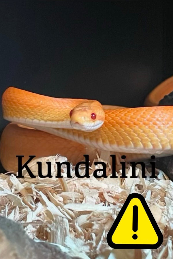 Kundalini