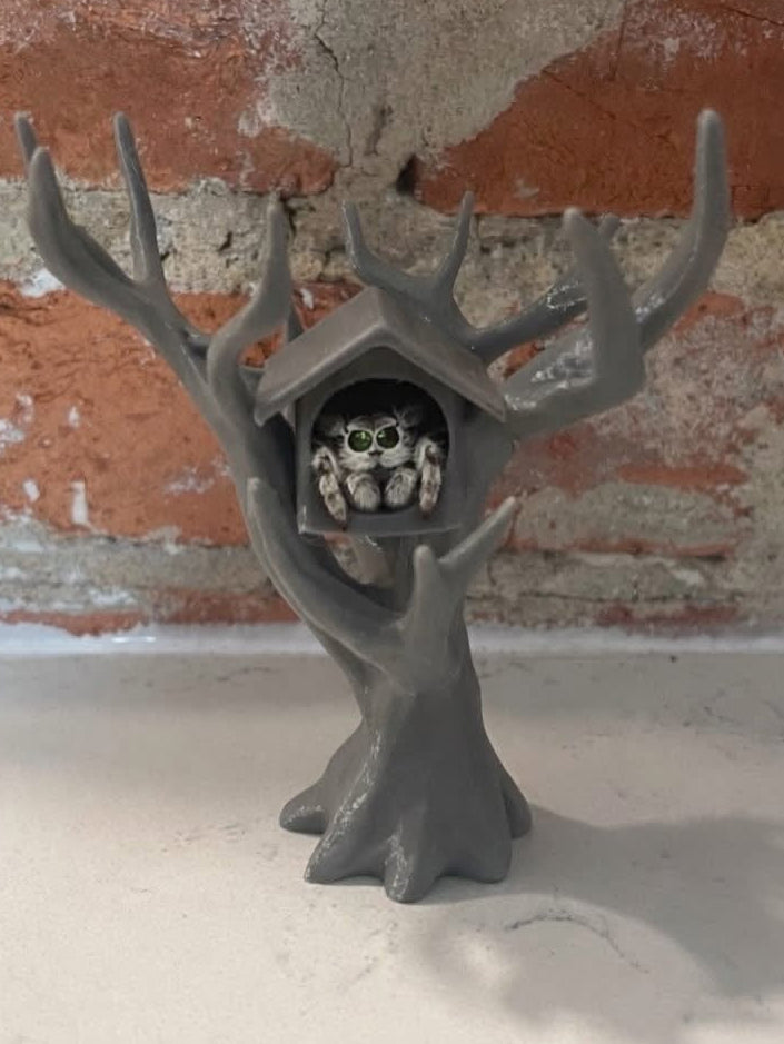 Jumping Spider Tree House