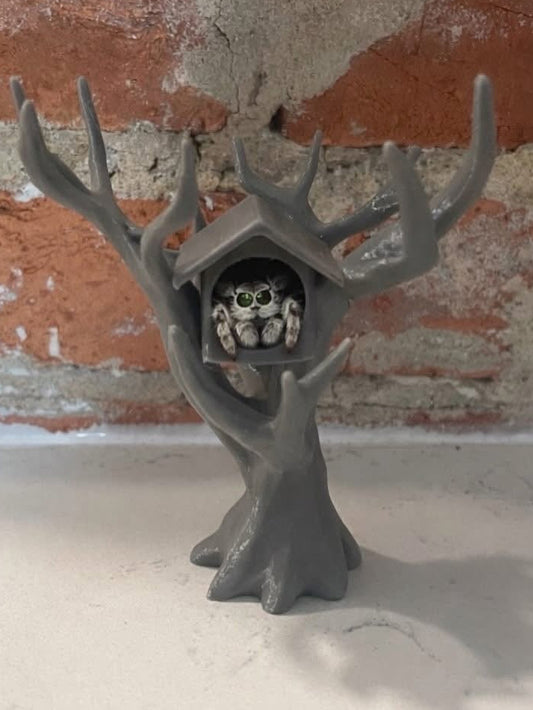 Jumping Spider Tree House