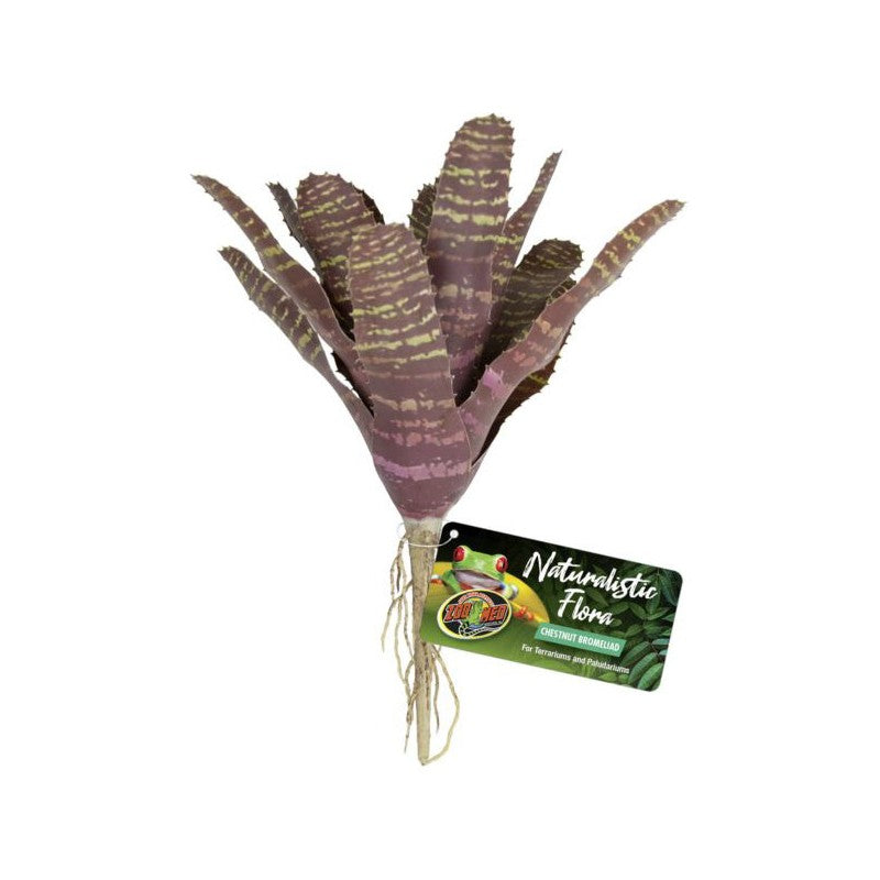 Zoo Med Chestnut Bromeliad
