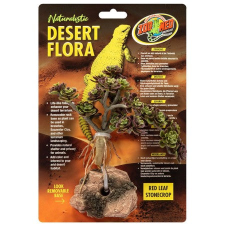 Zoo Med Desert Flora - Red Leaf Stonecrop
