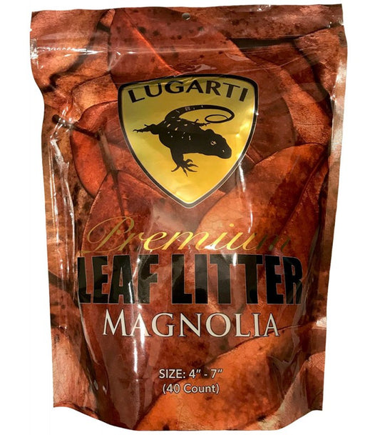 Lugarti Magnolia Leaf Litter