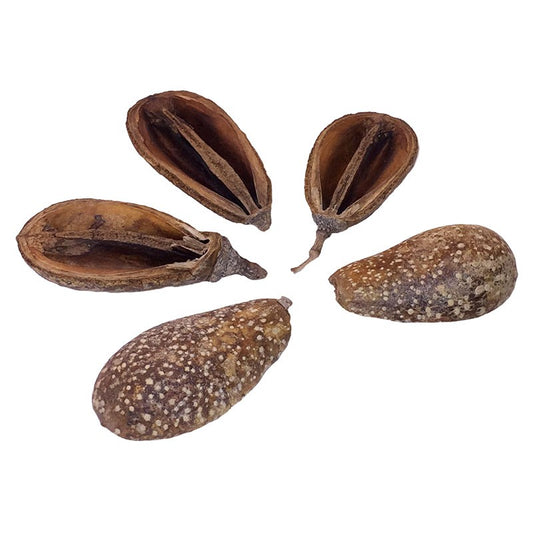 Pear Pod