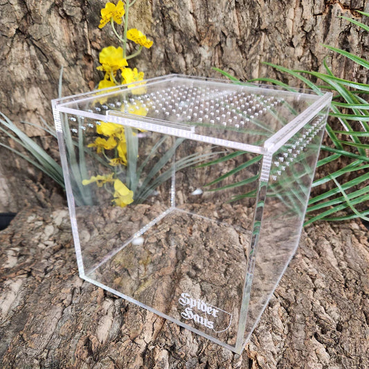 Spider Haus 4x4” Cube