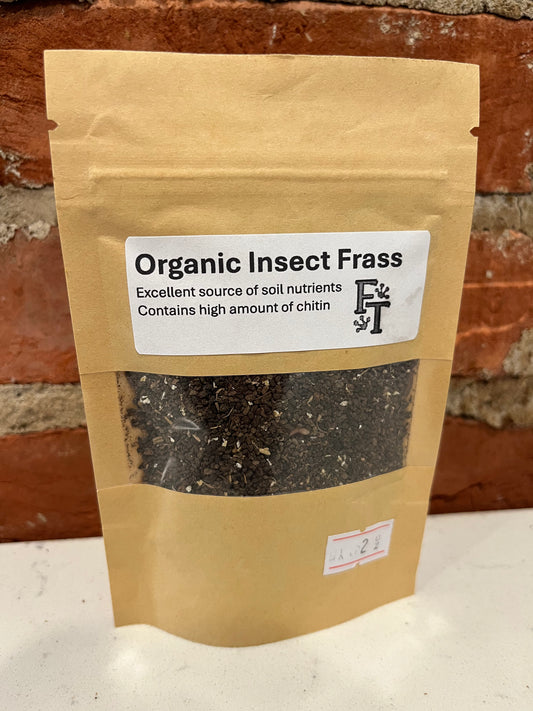 Fras Insect Tropical Plants – FrogTown