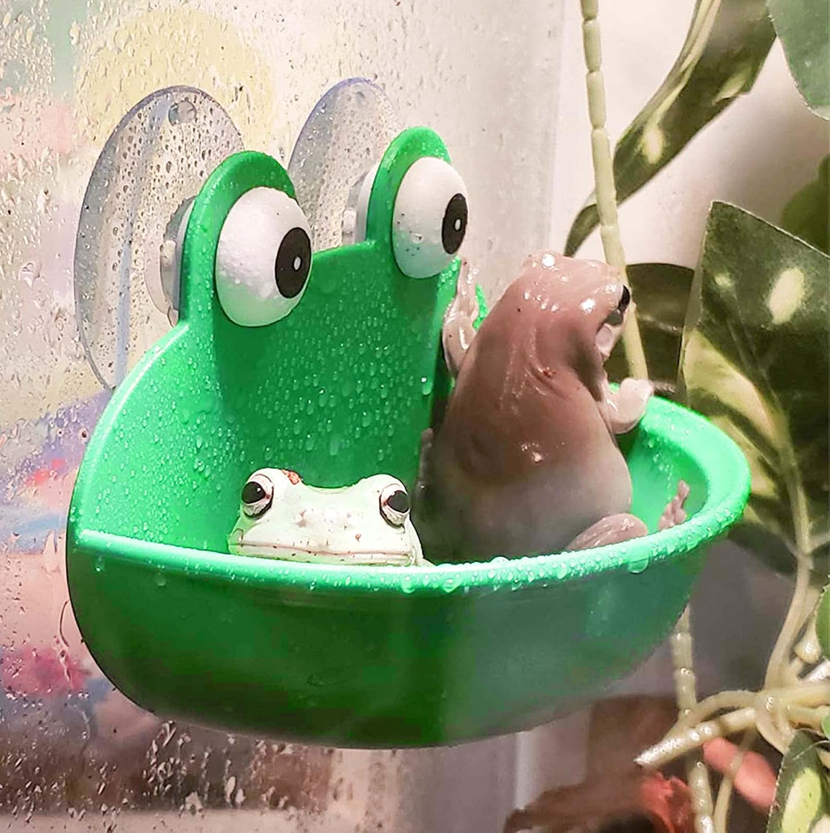 Frog Soap Dish