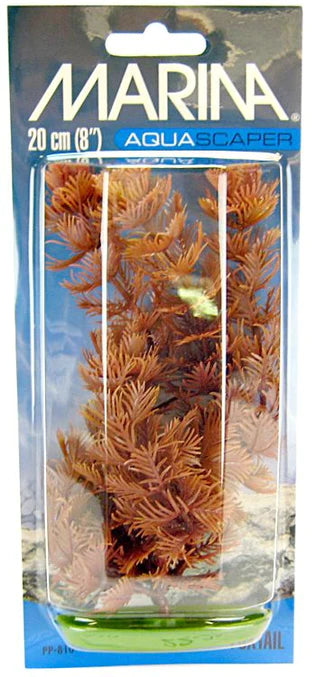 Marina Foxtail Aquarium Plant