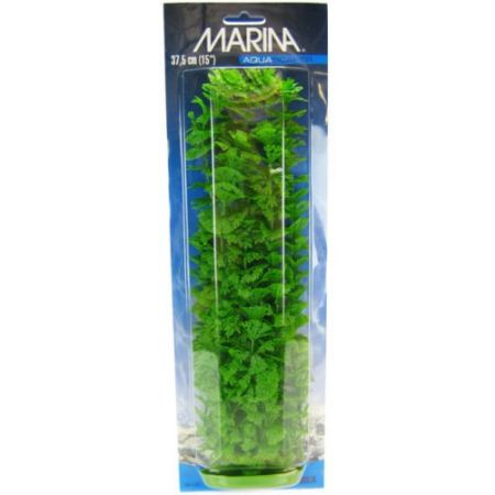 Marina Aquascaper Ambulia Plant
