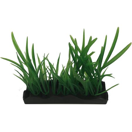 Penn Plax Harigrass Bunch Plant Medium